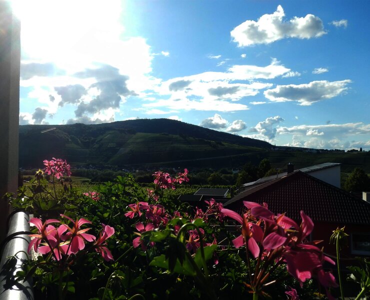 Abendaussicht Wohnraum