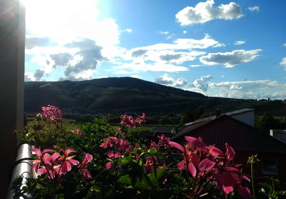 Abendaussicht Wohnraum