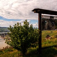 Übersichtsschild des Aktivpfad Mehring auf dem Moselsteig bei Mehring