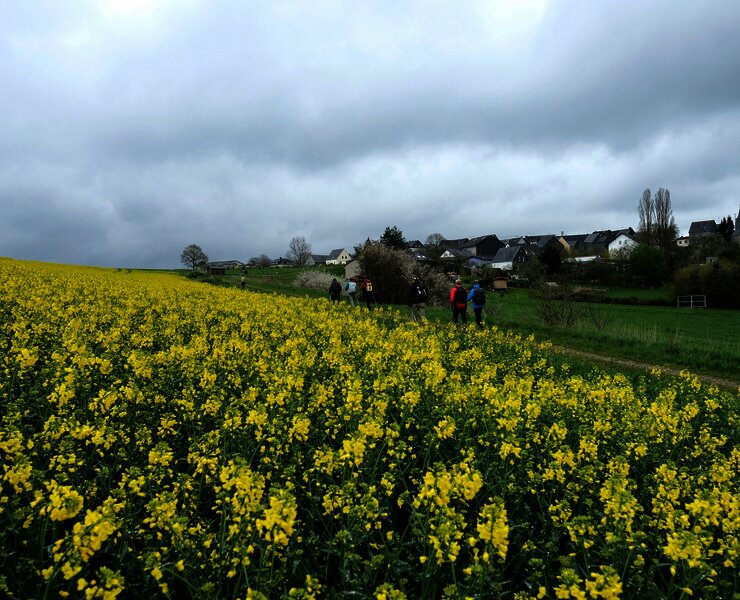 Hunsrücklandschaft bei Fronhofen