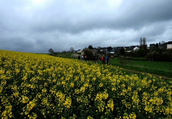 Hunsrücklandschaft bei Fronhofen