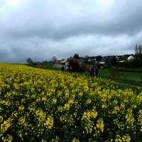 Hunsrücklandschaft bei Fronhofen