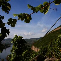 Brauneberger Sonnenuhr: Ziel im Moselurlaub