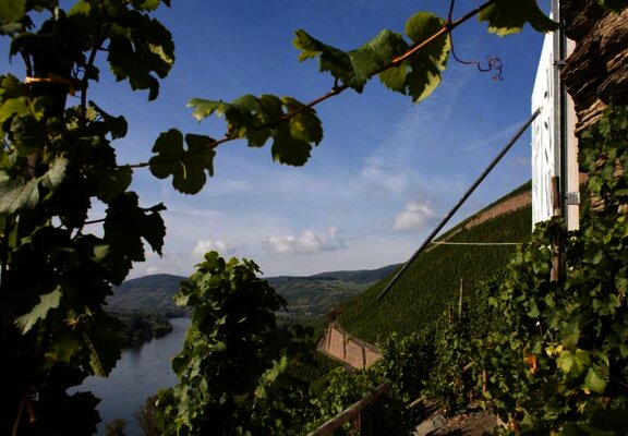 Brauneberger Sonnenuhr: Ziel im Moselurlaub