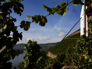 Brauneberger Sonnenuhr: Ziel im Moselurlaub