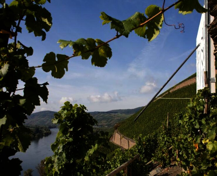 Brauneberger Sonnenuhr: Ziel im Moselurlaub