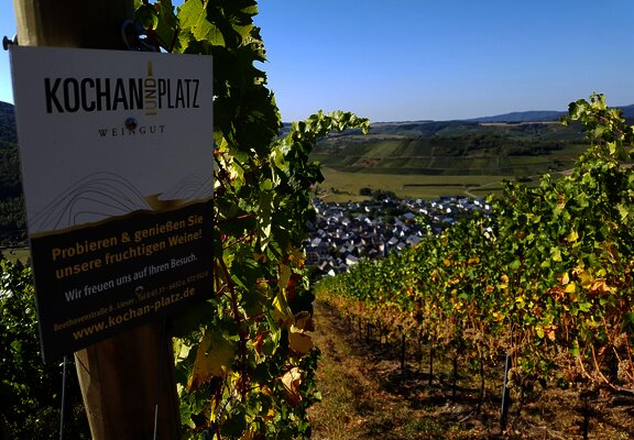 Weinberge Kochan & Platz