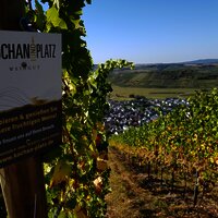 Weinberge Kochan & Platz