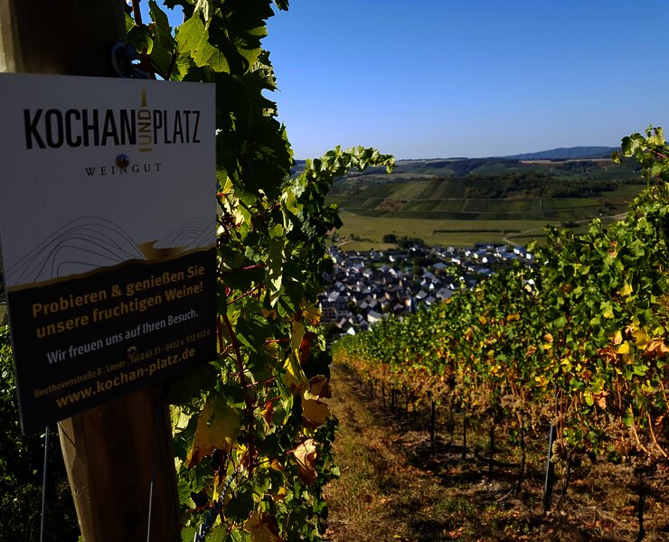 Weinberge Kochan & Platz