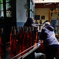 Beim Abfüllen des Weins