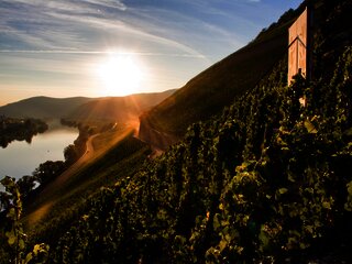 Weinlage Brauneberger Juffer