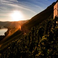 Weinlage Brauneberger Juffer