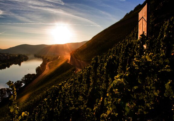 Weinlage Brauneberger Juffer