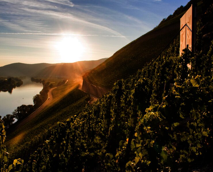 Weinlage Brauneberger Juffer