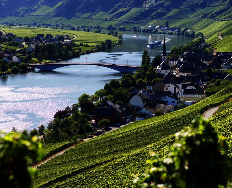 Blick auf Alt Piesport