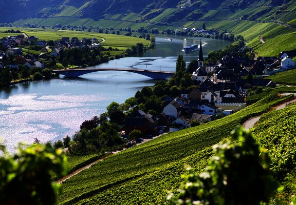 Blick auf Alt Piesport