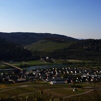 Zeltingen-Rachtig und das Kloster Machern