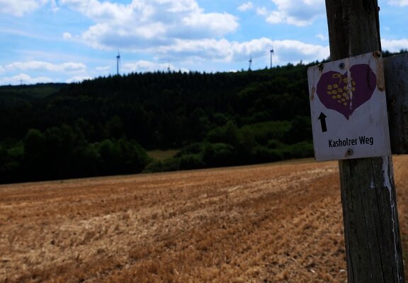 Wegweiser Kasholzer Weg