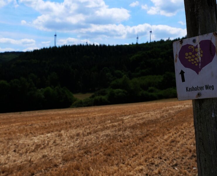 Wegweiser Kasholzer Weg