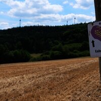 Wegweiser Kasholzer Weg