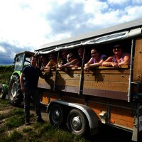 Planwagenfahrt - Weinbergsrundfahrt Weingut Genets