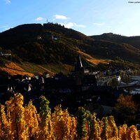 Landschaft_Weinberg_Mosel_Herbst_Burg_Brücke_Bernk