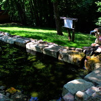 Das Bild zeigt ein Wassertretbecken beim Freizeitzentrum Peterberg.