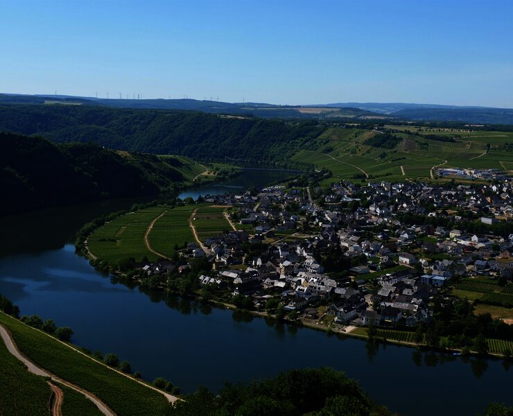 Ausblick auf Piesport
