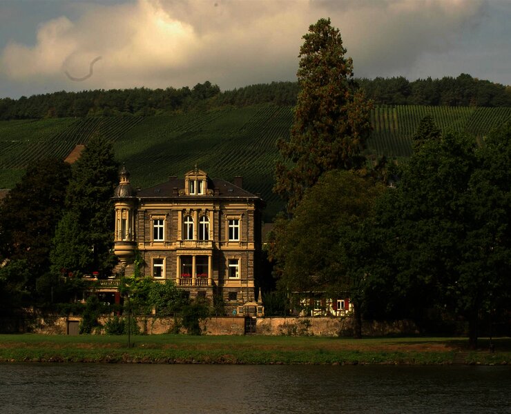 Weingut
