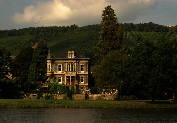 Weingut