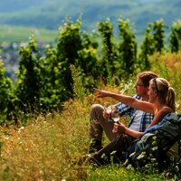 Rast auf dem Brauneberg