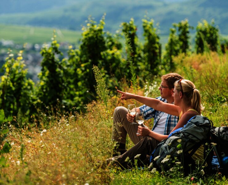 Rast auf dem Brauneberg