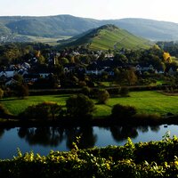 Start in Mülheim an der Mosel