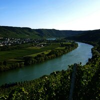 Blick aus den Weinberge auf Wintrich