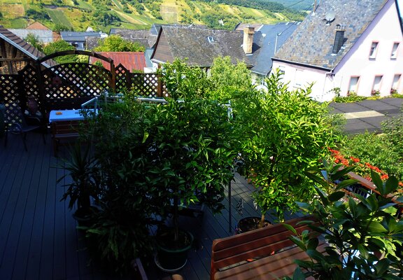 Gästehaus Christa Schneider Terrasse