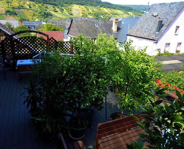 Gästehaus Christa Schneider Terrasse