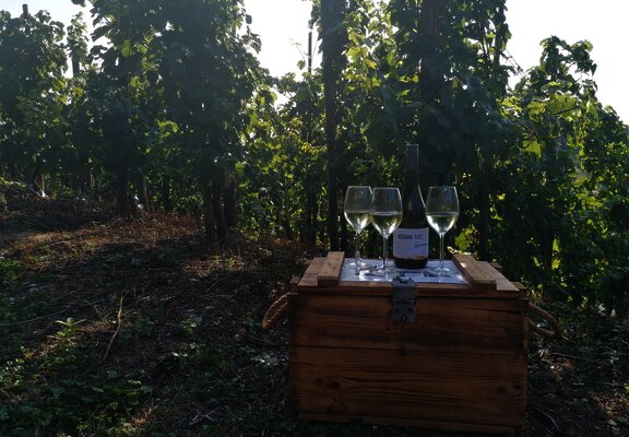 Weinwandern in Lieser