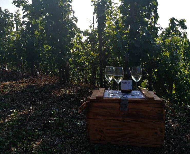 Weinwandern in Lieser