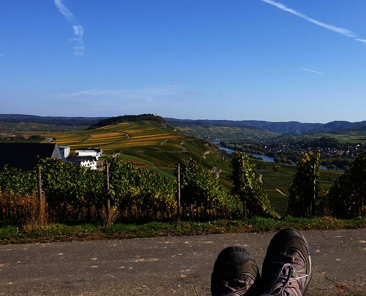 Aussicht von der Ruheinsel