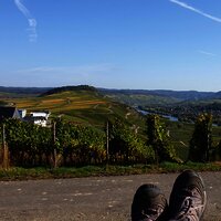 Aussicht von der Ruheinsel