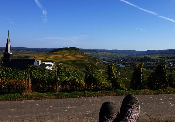 Aussicht von der Ruheinsel