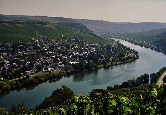 Landschaft