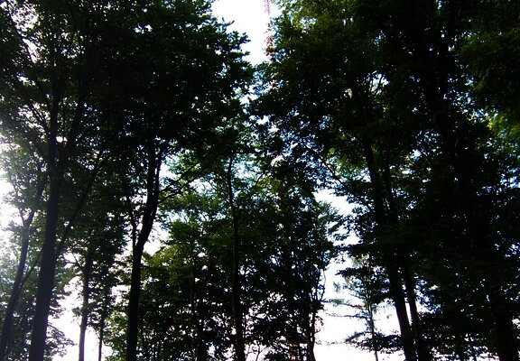 zwischen Rhein und Mosel