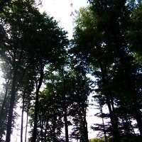 zwischen Rhein und Mosel