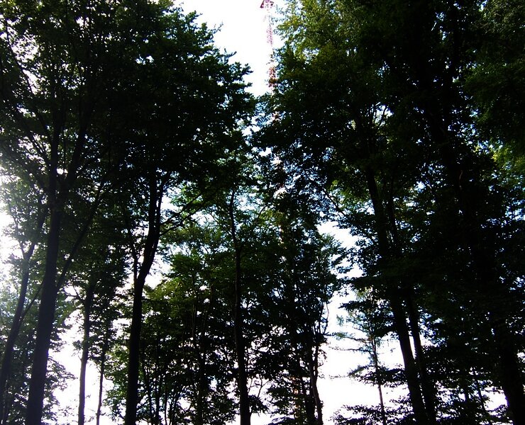 zwischen Rhein und Mosel