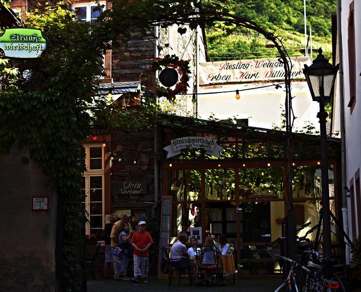 Riesling-Weingut Dillinger