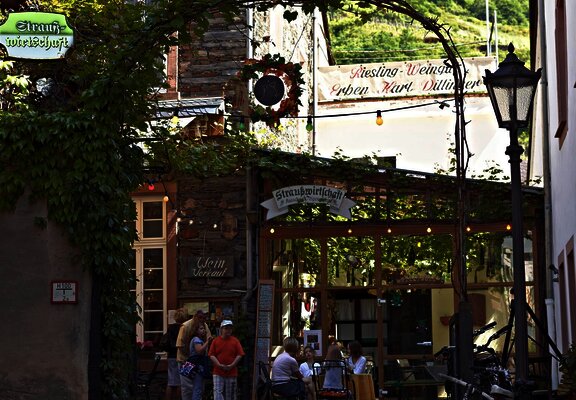 Riesling-Weingut Dillinger