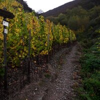 Pfad im Kabeiner Bachtal