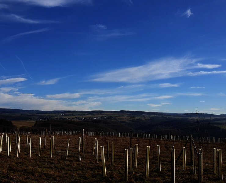 Blick in den Hunsrück
