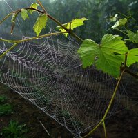 Eindrücke am Morgen